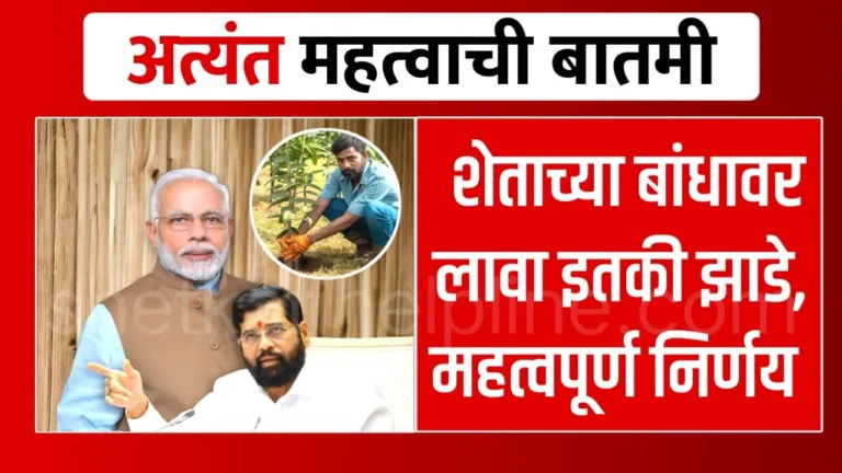 5treesonfarmbordergovernmentdecision1