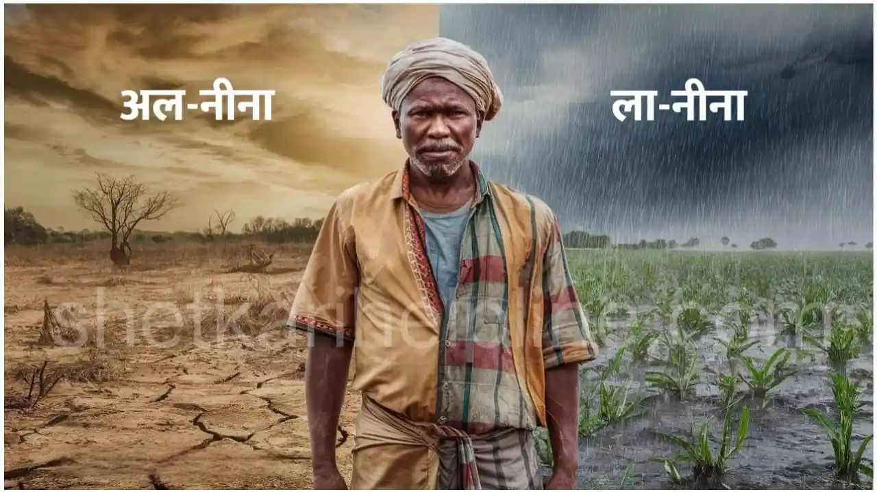 monsoon forecast 2024 by imd 45119854137171831009