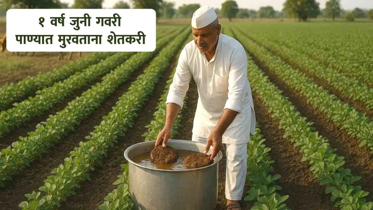 babarao experiment farming miracle do it yourself shetkari helpline 28039265716222978709