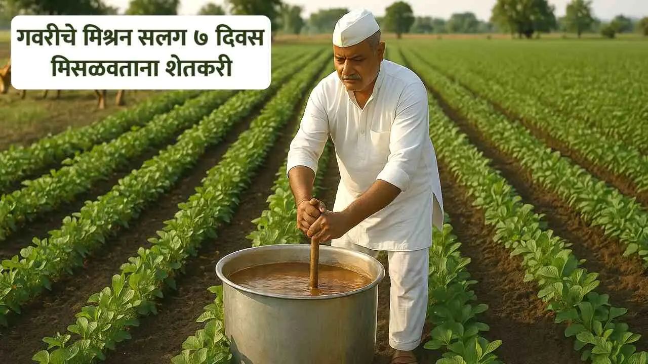 babarao experiment farming miracle do it yourself shetkari helpline 37008967961868518385