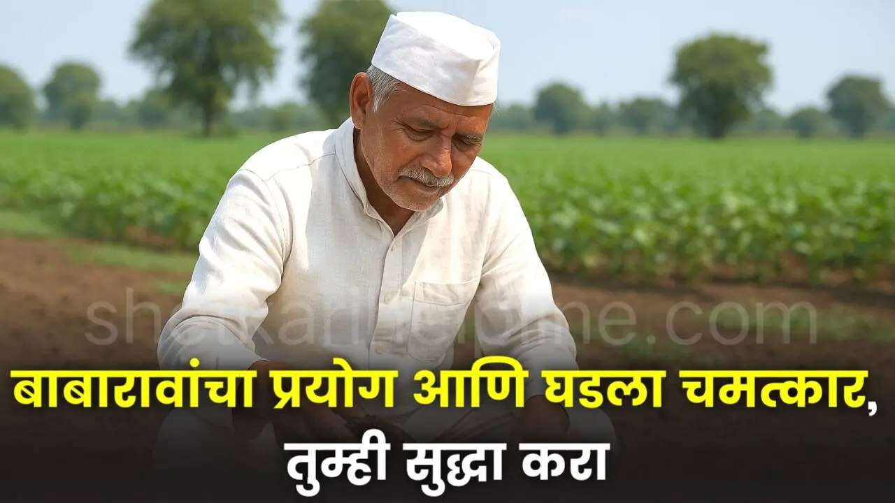 babarao experiment farming miracle do it yourself shetkari helpline