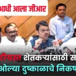 relief for farmers affected by heavy rains government implements drought shetkari helpline