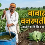 बाबाराव वनस्पती अर्क देशी फॉर्म्युला शेती फवारणी शेतकरी हेल्पलाईन