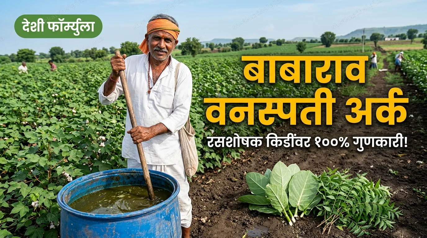 बाबाराव वनस्पती अर्क देशी फॉर्म्युला शेती फवारणी शेतकरी हेल्पलाईन
