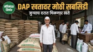 DAP खत सबसिडी केंद्र शासन निर्णय शेतकरी हेल्पलाईन