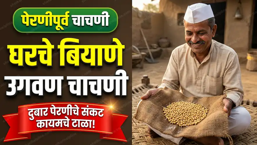 घरचे बियाणे उगवण चाचणी शेतकरी हेल्पलाईन