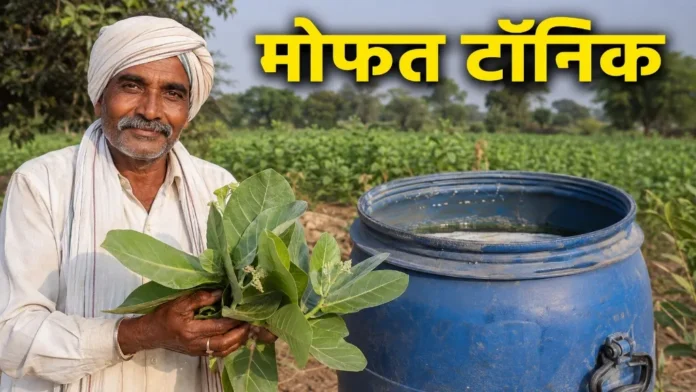 मोफत टॉनिक