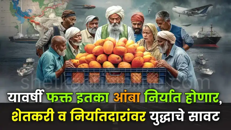 आंबा निर्यात संकट: मध्यपूर्वेतील युद्धामुळे हापूस आंबा निर्यातीला मोठा फटका; वाहतूक खर्च दुप्पट