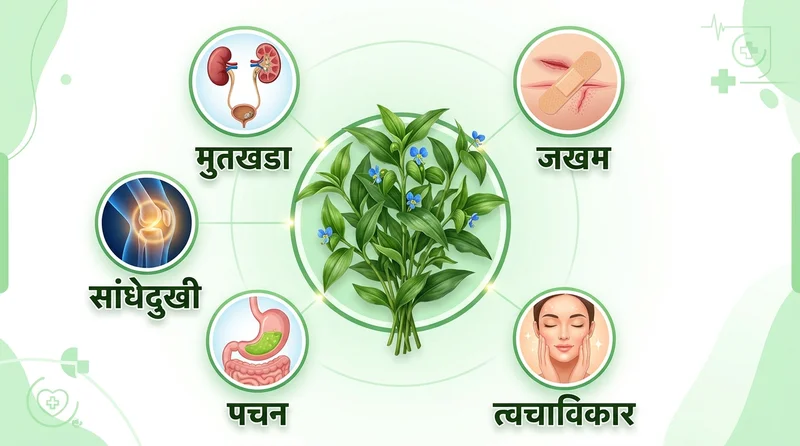 ५ आजारांवरील औषधी उपयोग
