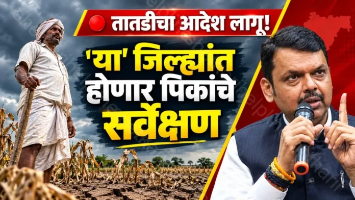 पाऊस सर्वेक्षण आदेश